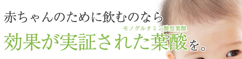 �t�_�T�v�����T�C�g